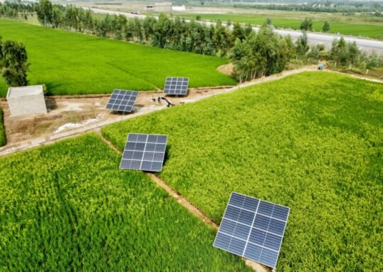 renewable energy